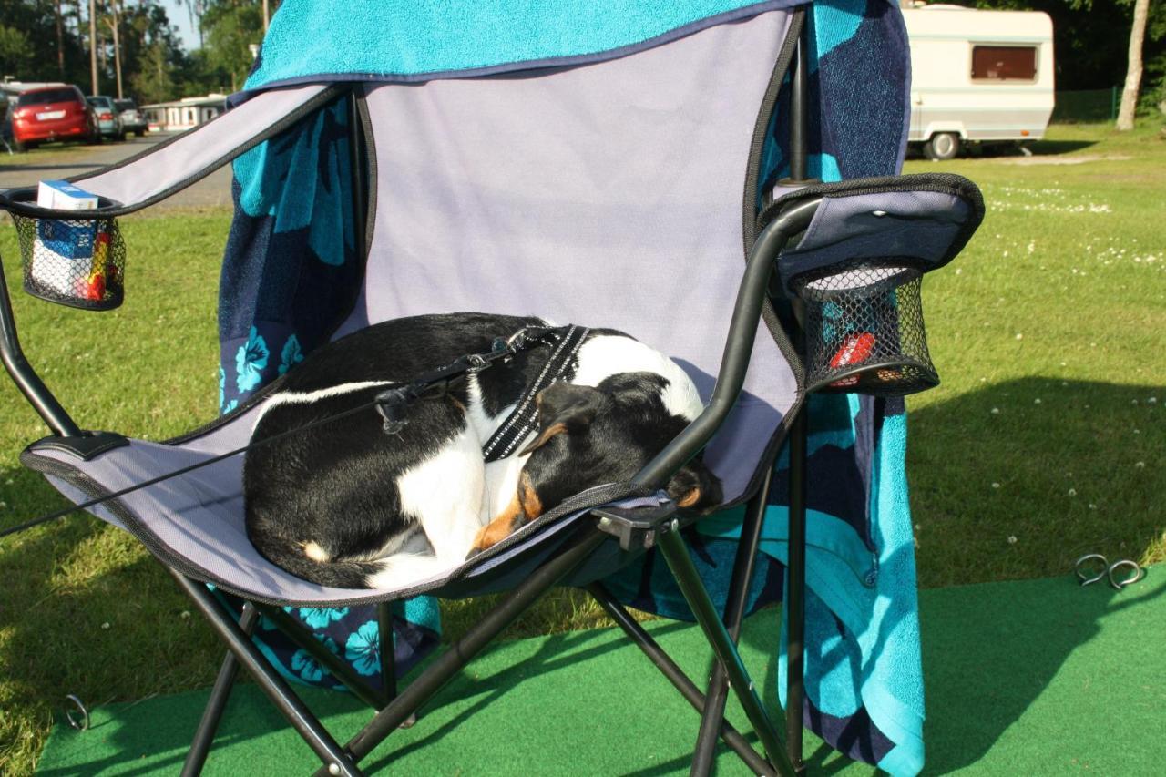 Bromoella Camping O Vandrarhem Bagian luar foto